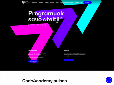 codeacademy.lt snapshot