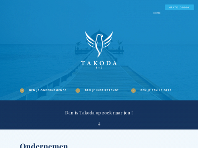takoda.biz snapshot
