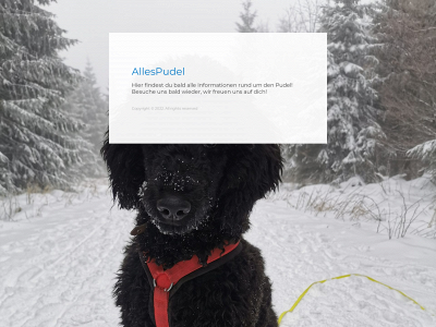 allespudel.de snapshot