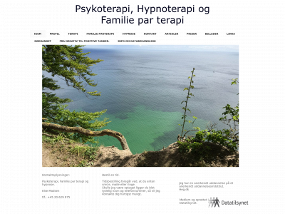 elsemasn.dk snapshot