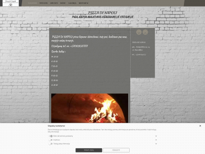pizzadinapoli.lt snapshot
