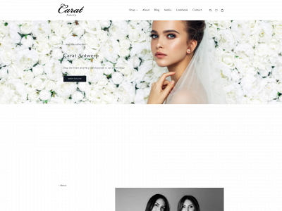 test-caratantwerp.com snapshot
