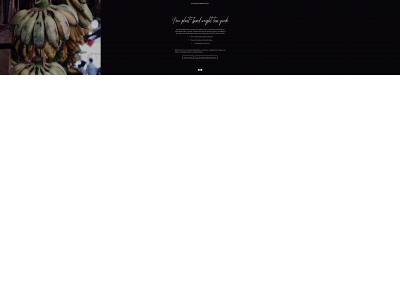 sunsaltandplants.com snapshot