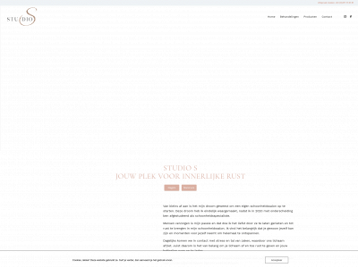studiosara.be snapshot