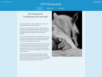 equinechirocare.co.uk snapshot