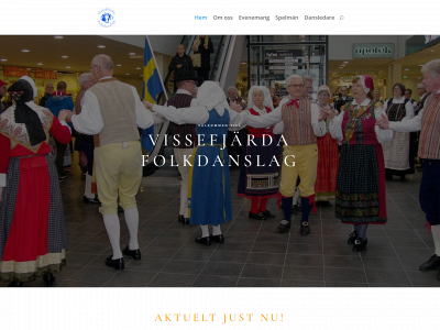 dansforeningen-vissefjarda-folkdanslag.com snapshot