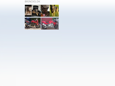 brincks.dk snapshot