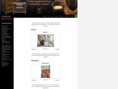 nytbrugtsmukt.dk snapshot