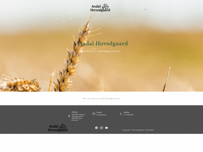 asdal.dk snapshot
