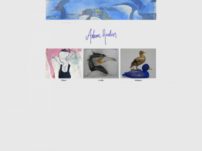 adamhedin.com snapshot