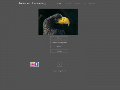 anoukvancronenburg.nl snapshot
