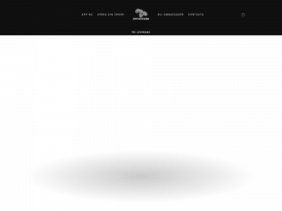 spelstickan.se snapshot