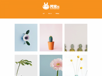 www.thaiph.shop snapshot