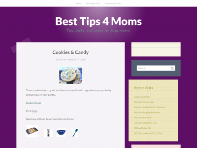 besttips4moms.com snapshot