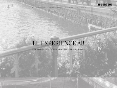 llexperience.se snapshot
