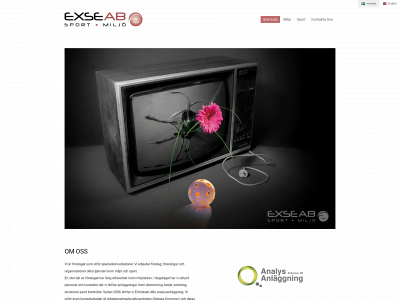 exse.se snapshot