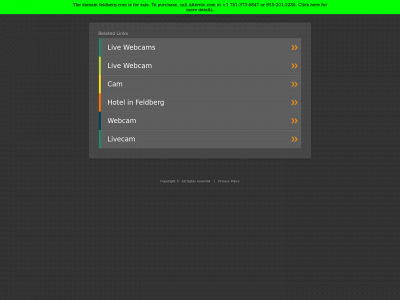 feldberg.com snapshot