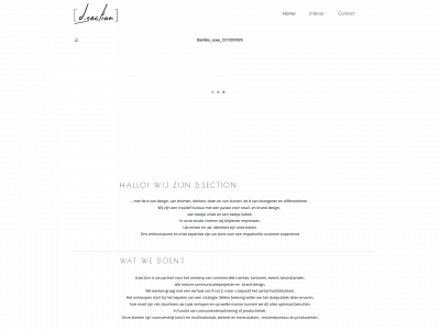 dsection.be snapshot