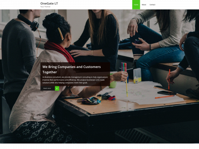 onegatelt.com snapshot