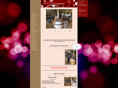 lecepage.fr snapshot