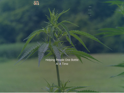 savouryoils.com snapshot