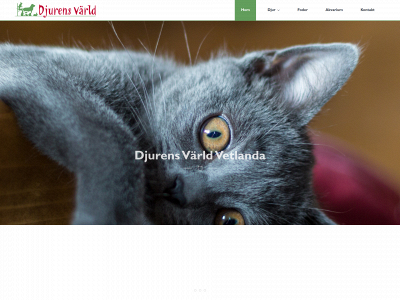 djurensvarldvetlanda.se snapshot