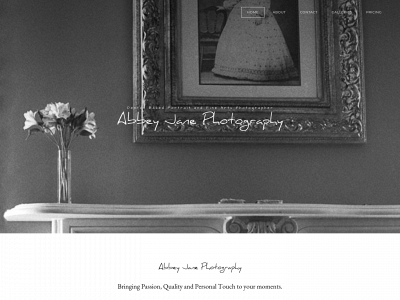 abbeyjanephotography.com snapshot