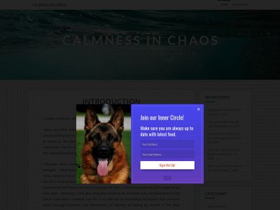 calmnessinchaos.com snapshot