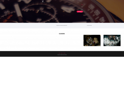 precisionandstyle.com snapshot
