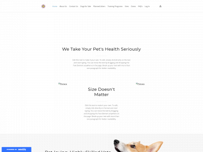 sdrtestrd.weebly.com snapshot