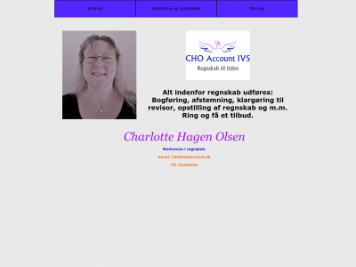 choaccount.dk snapshot