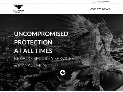 palladium-security.com snapshot