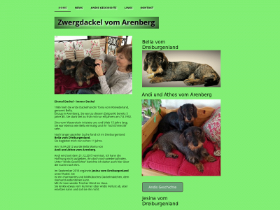 zwergdackel-vom-arenberg.de snapshot