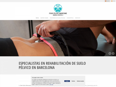 fisiopelvicmaresme.com snapshot