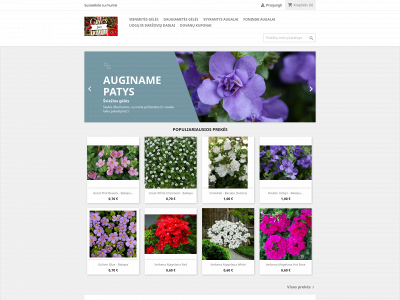 gelespaslaimute.lt snapshot