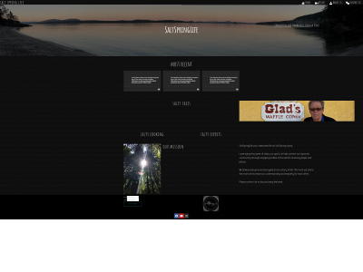 saltspringlife.com snapshot