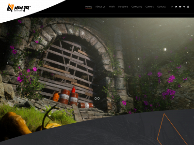 nin-jacompany.com snapshot
