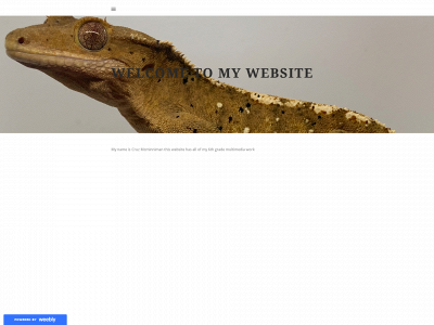 6-20-2021-cm.weebly.com snapshot