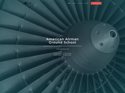 americanairmanusa.com snapshot