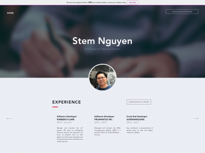 stemnguyen.com snapshot