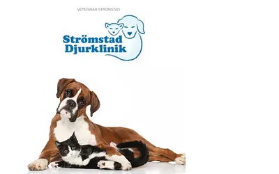 stromstad-djurklinik.se snapshot