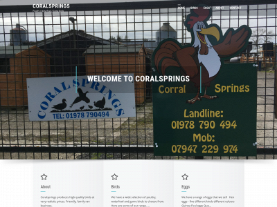coralsprings.co.uk snapshot