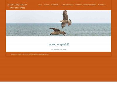 haptotherapie020.nl snapshot