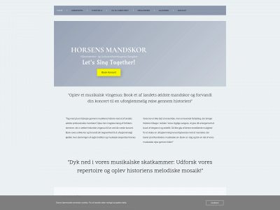 his-horsens.dk snapshot
