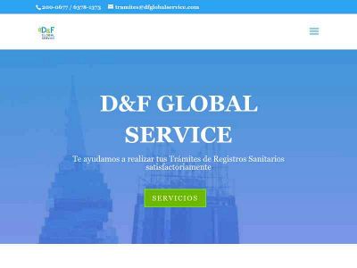 dfglobalservice.com snapshot