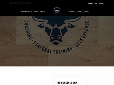 nononsensegym.com snapshot