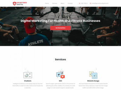 growthiusdigital.com snapshot