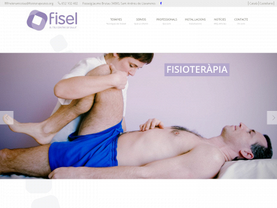 fiselsalut.com snapshot