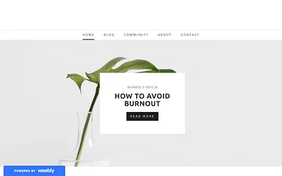 autobiographyworld.weebly.com snapshot