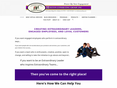 holtonconsulting.com snapshot